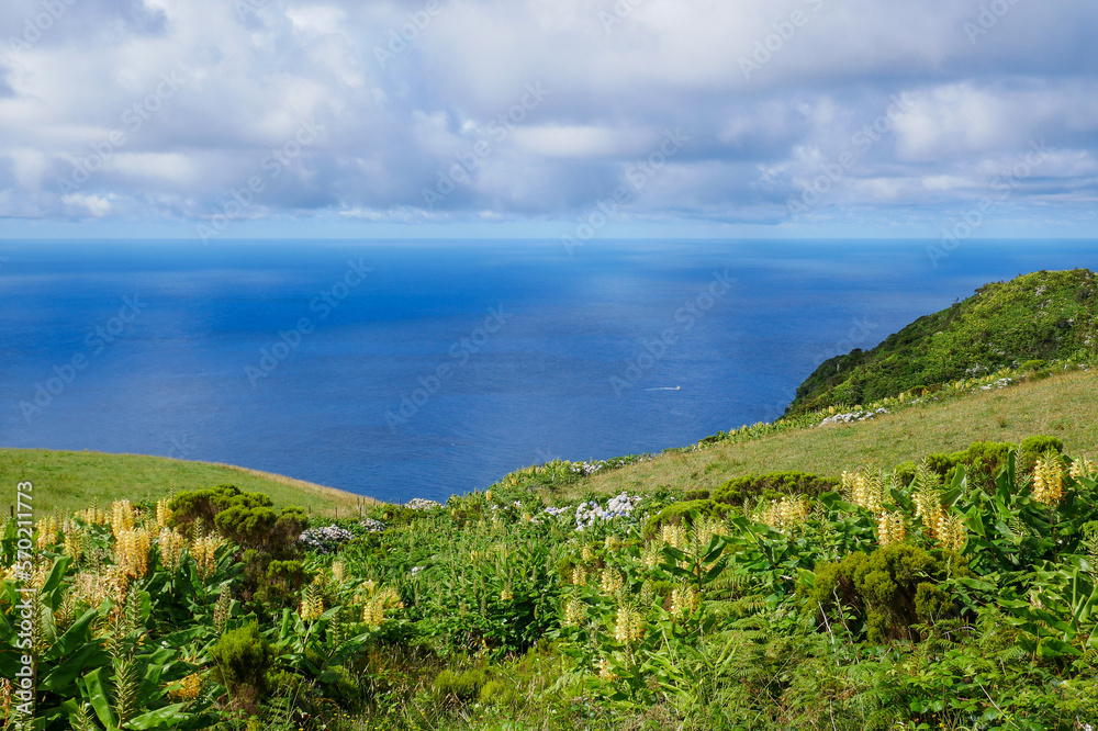 Flores, Azores - the green paradise in the Atlantic Ocean
Pure nature on Flores island, it doesn't get greener than this Flores, Azores - the green paradise in the Atlantic Ocean
Pure nature on Flores island, it doesn't get greener than this