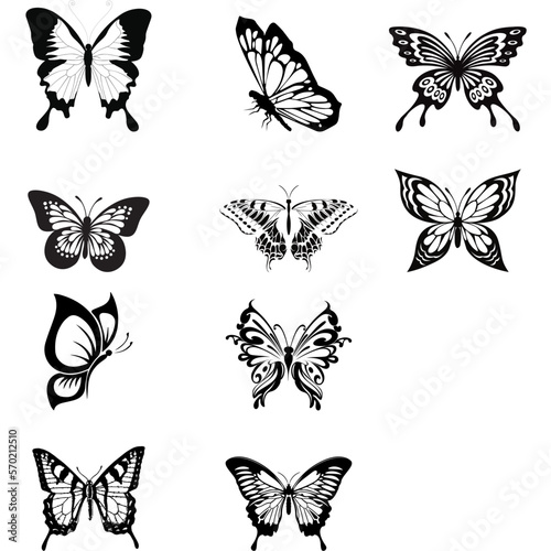 butterfly illustration, butterfly logo 
