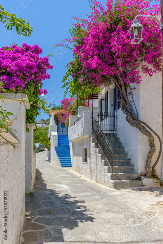 Traditional Cycladitic alley with a narrow street, whitewashed houses and a blooming bougainvillea in lefkes village, Paros island, Greece.