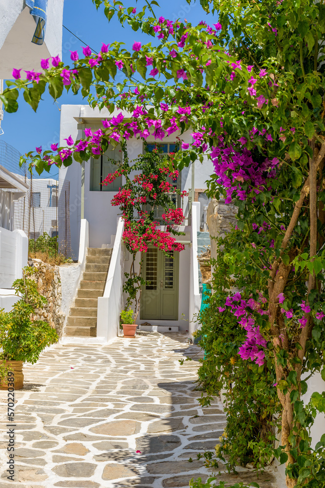 Traditional Cycladitic alley with narrow street, whitewashed facade of stores a cafe exterior and a blooming bougainvillea in Naousa  Paros island, Greece.