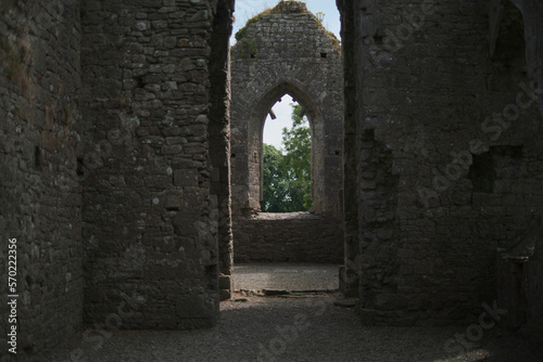 ruins of the castle