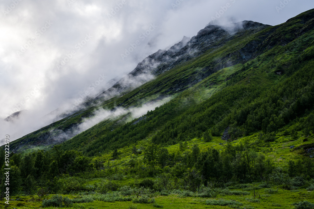 Fototapeta premium Green valley shaped by a glacier in Norway with trees and clouds covering the mountains