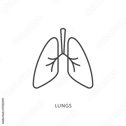 Outline style health care ui icons collection. Vector black linear illustration. Lungs anatomy symbol isolated on white. Design element for healthcare, respiratory system pulmonology infographic