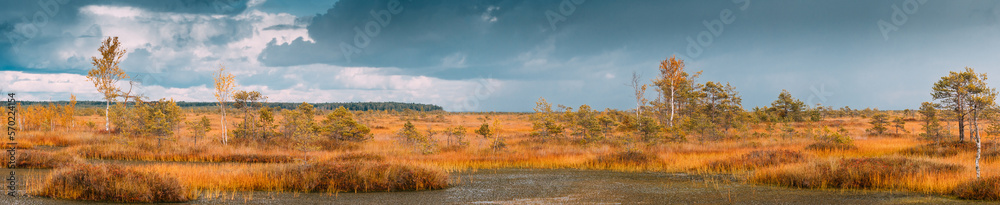 Bright Dramatic Sky Above Wetland. Panoramic View On Natural Swamp. Nature Reserve At Summer Day.