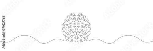 Human brain, continuous line drawing concept isolated background on white. Vector illustration