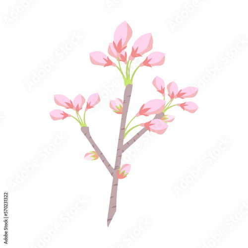 枝に付いた桜の花の蕾。フラットなベクターイラスト。 Cherry blossom buds with blanches. Flat designed vector illustration. © nagamushi studio
