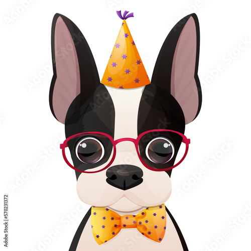 Birthday greeting Boston terrier portrait in hat, glasses with tie bow in cartoon style isolated on white background. 
