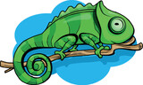 a green chameleon climbs a branch