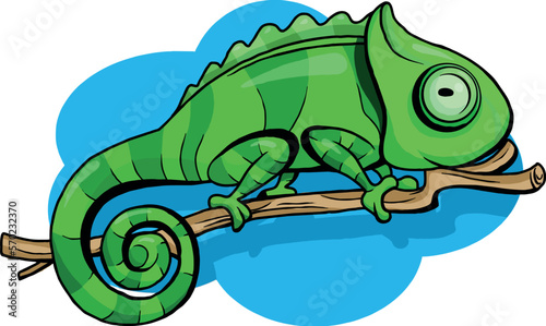 a green chameleon climbs a branch