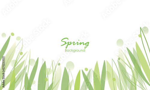 green grass background
