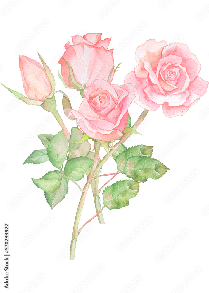 白背景の薔薇の花束の水彩イラスト