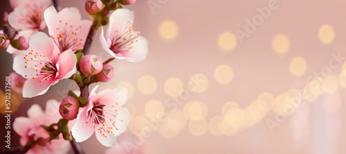 Close-up Sakura Blossom. Big sakura flowers. Macro (Generative AI)