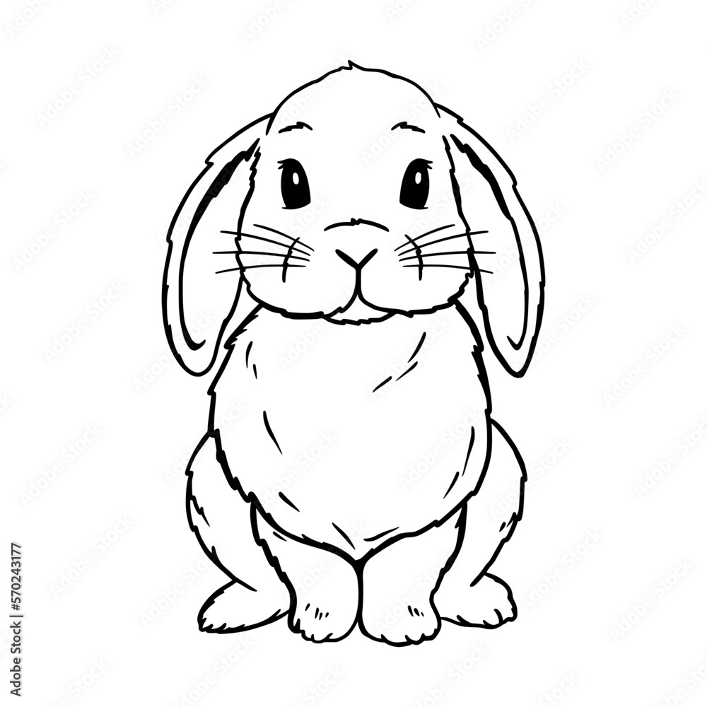 Cute Lop Rabbit Line Art. Bunny sketch vector illustration. Coloring pages for children. Good for posters, t shirts, postcards. Coloring pages for children. Cute Lop Rabbit Line Art. Bunny sketch vector illustration. Coloring pages for children. Good for posters, t shirts, postcards. Coloring pages for children.