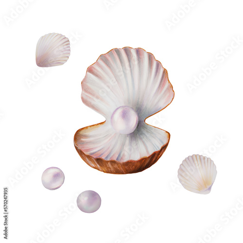 Watercolor composition with shells and pearls. Hand painting clipart underwater life objects on a white isolated background. For designers, decoration, postcards, wrapping paper, scrapbooking, covers