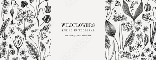 Horizontal vintage banner with wildflowers sketches. Floral design in sketched style. Delicate black contoured blooming flowers border. Spring woodland or garden botanical vector background for print