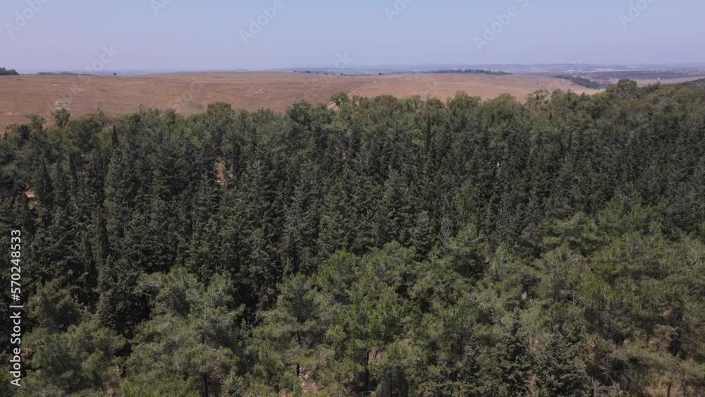 Aerial shot slowly revealing training ground country road of Israeli army through trees Aerial shot slowly revealing training ground country road of Israeli army through trees