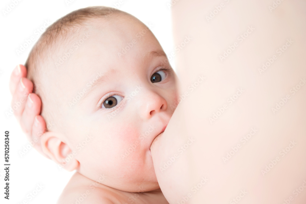 Little baby boy breast feeding, isolated on white background Little baby boy breast feeding, isolated on white background