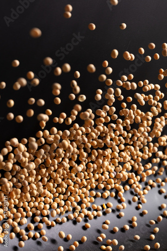 Soy Bean flying explosion  yellow grain beans explode abstract cloud fly. Beautiful complete seed pea soy bean splash in air  food object design. Black background high speed shutter freeze motion