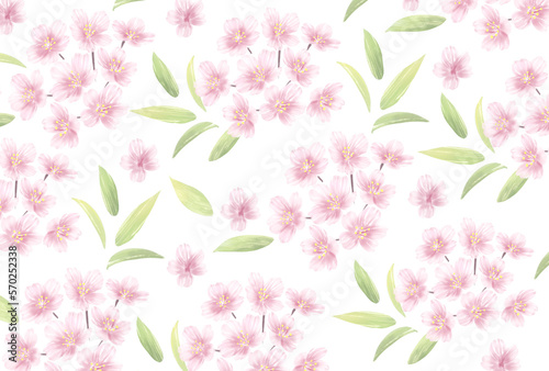 Fototapeta Naklejka Na Ścianę i Meble -  手描き風の桜の花_メッセージカード背景パターンイラスト_Clip art of cherry blossom for background