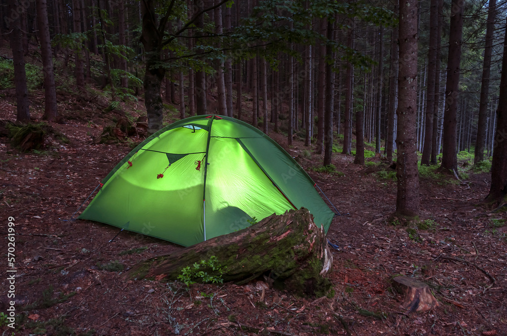 lightened tent in the wild forest