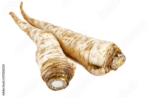 two raw parsley roots on white background