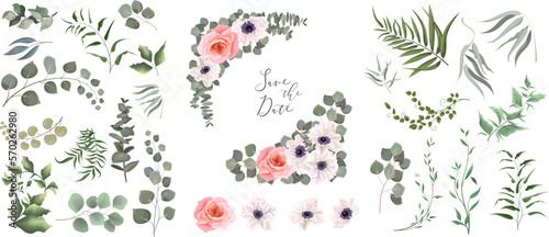 A large collection of herbs and plants. Green plants on a white background. Floral arrangements of white anemones, pink roses and eucalyptus, flowers on white background