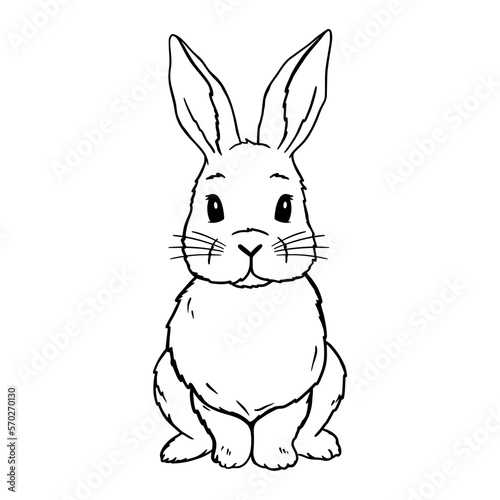 Cute Rabbit Line Art. Easter Bunny sketch vector illustration. Coloring pages for children. Good for posters, t shirts, postcards. Coloring pages for children.
