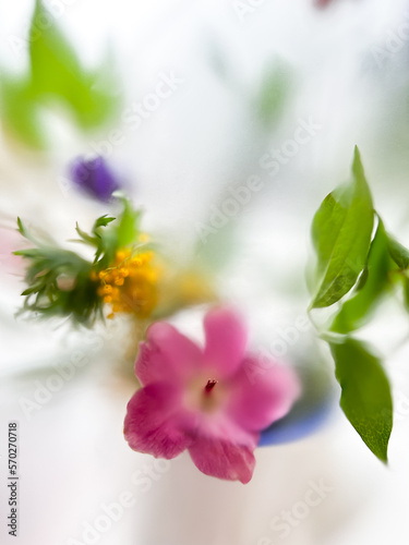 Abstract colored bouquet of mimosa and hellebore on a white blur background