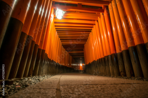 Fototapeta Naklejka Na Ścianę i Meble -  京都 深夜の伏見稲荷大社の幻想的な千本鳥居のトンネル