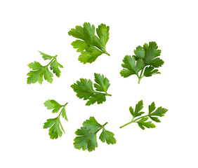 Parsley isolated on transparent png