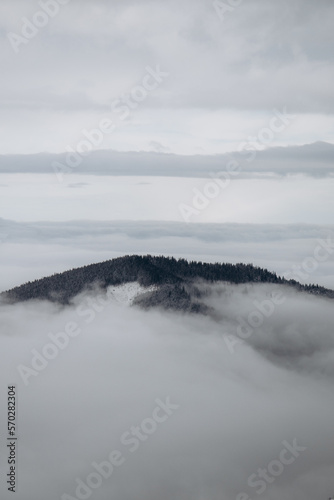 Dragobrat, Ukraine mountain landscape with fog and fir trees. © Alexey