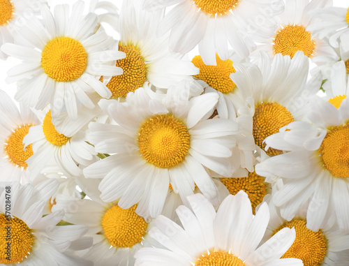 a beautiful bouquet of chamomile carved on a white background