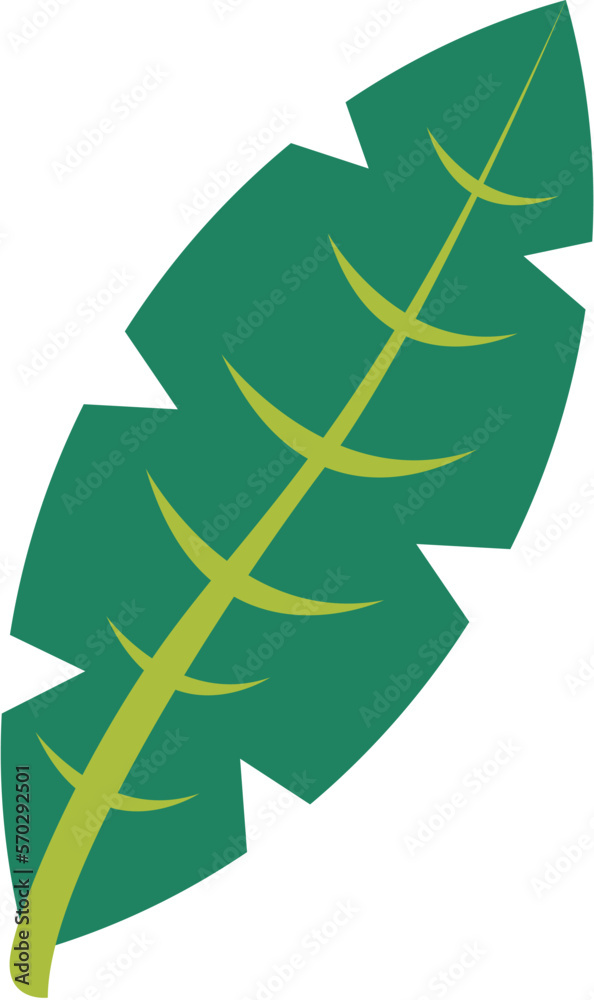 Fototapeta premium Vivid Leaves Element Vector
