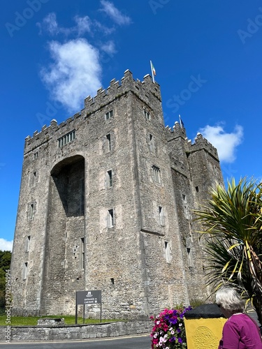 Obraz na płótnie Summer in Ireland