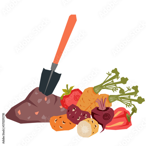 Harvest of vegetables and shovel in the ground, flat vector illustration isolated on white background. Composition of fresh garden vegetables and working tool for gardening and food growing concept.