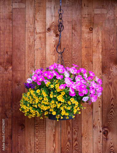 Decorative flower pot with yellow and pink flowers on a wooden wall