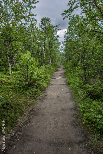Landscape of Abisko National Park, Sweden
