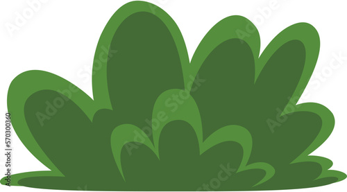 Grass Plant Illustration Vector