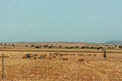 Lonely farmer in deserded spase in Morocco