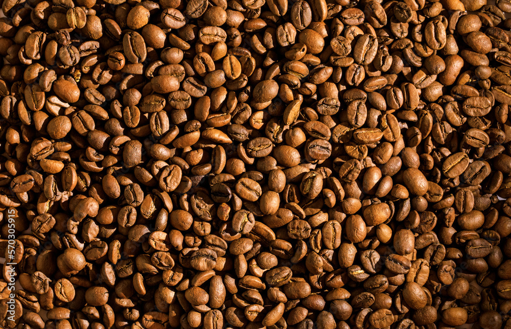 Fototapeta premium natural coffee beans warm light