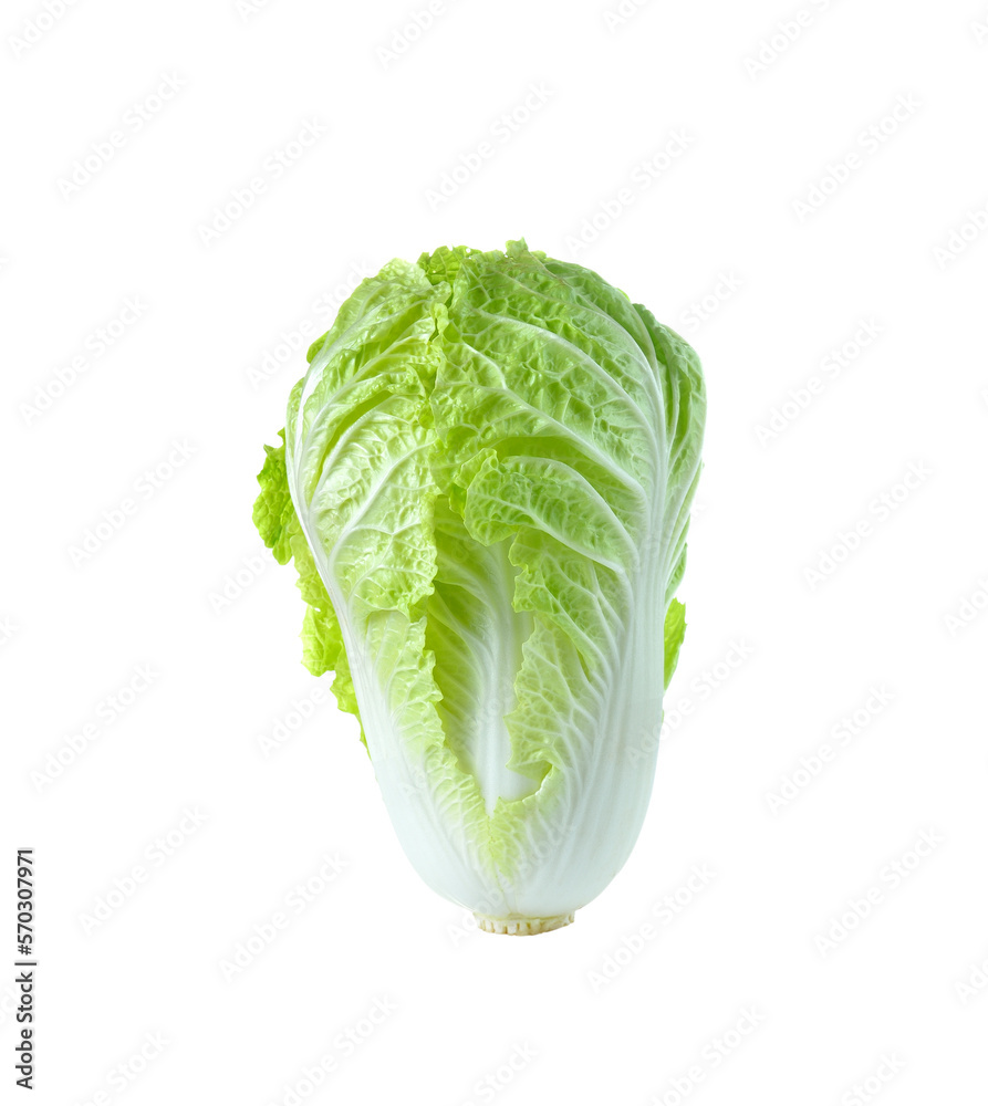 Fresh  Chinese cabbage isolated on  transparent png