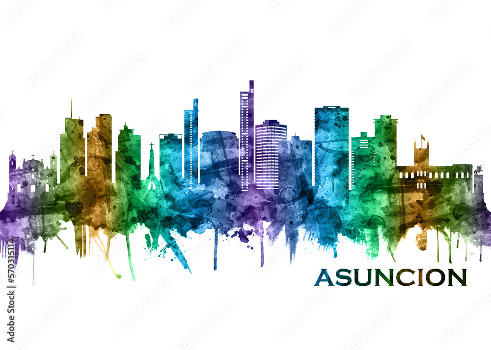 Fototapeta premium Asuncion Paraguay Skyline