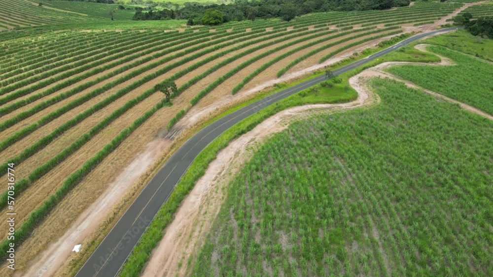 Country Road At Country Scenery In Rural Landscape Countryside. Harvest Field Environment. Nature Skyline. Scenic Outdoor. Country Road At Country Scenery. Country Road At Country Scenery In Rural Landscape Countryside. Harvest Field Environment. Nature Skyline. Scenic Outdoor. Country Road At Country Scenery.