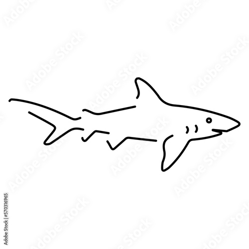 shark icon isolated on white background, vector illustration.