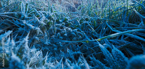  ghiaccio naturale in micro paesaggi photo