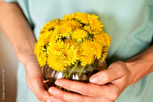 Female hands holding dandelion flowers in a vase. a girl holds a small bouquet of flowers in her hand on a sunny spring day.