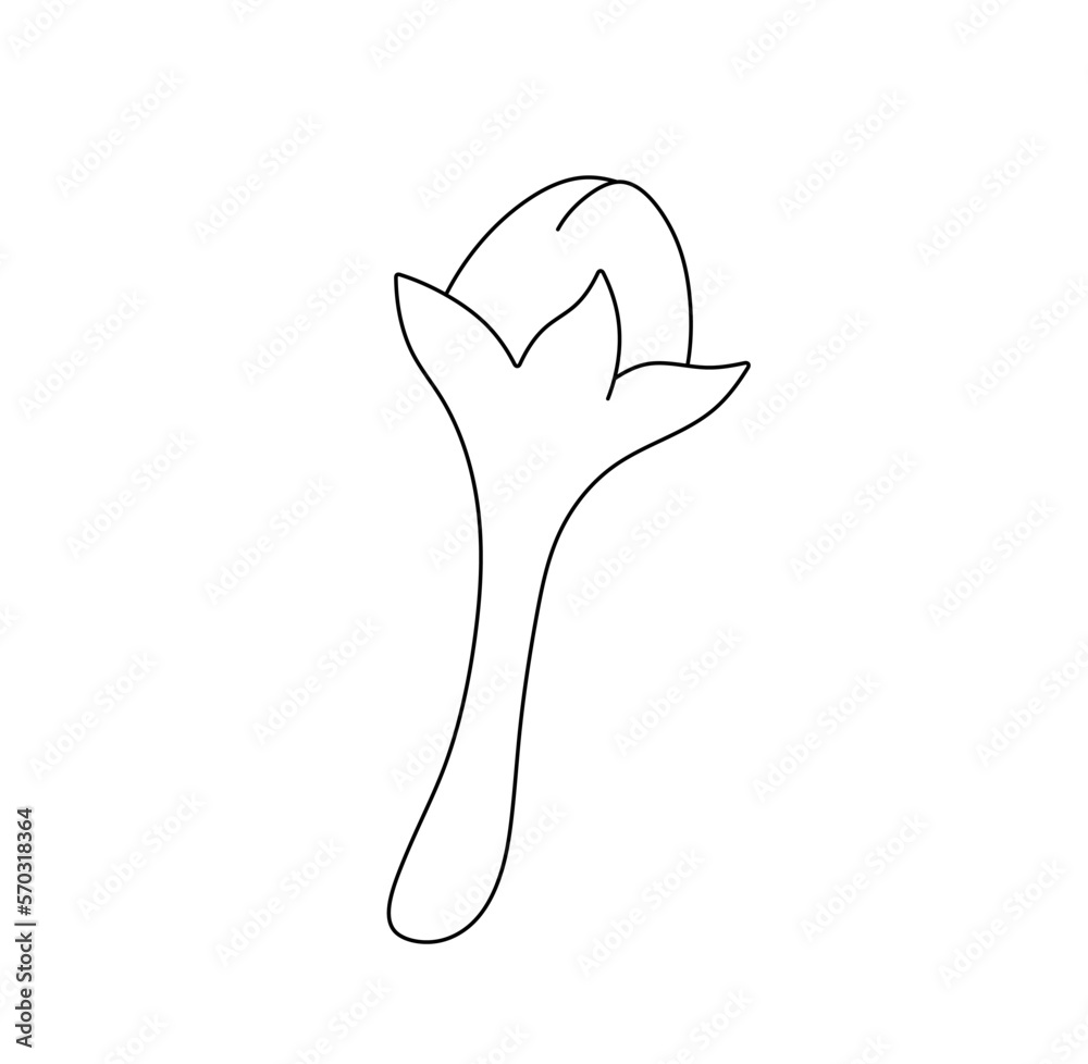 Obraz premium Vector isolated one single carnation clove seasoning colorless black and white contour line easy drawing
