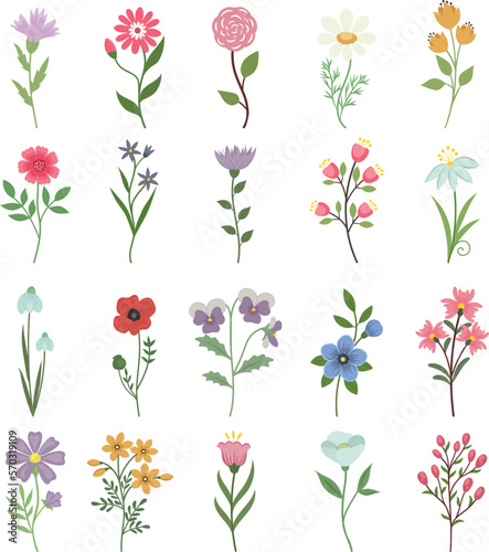 Botanical clipart, various flowers. Isolated on white background.