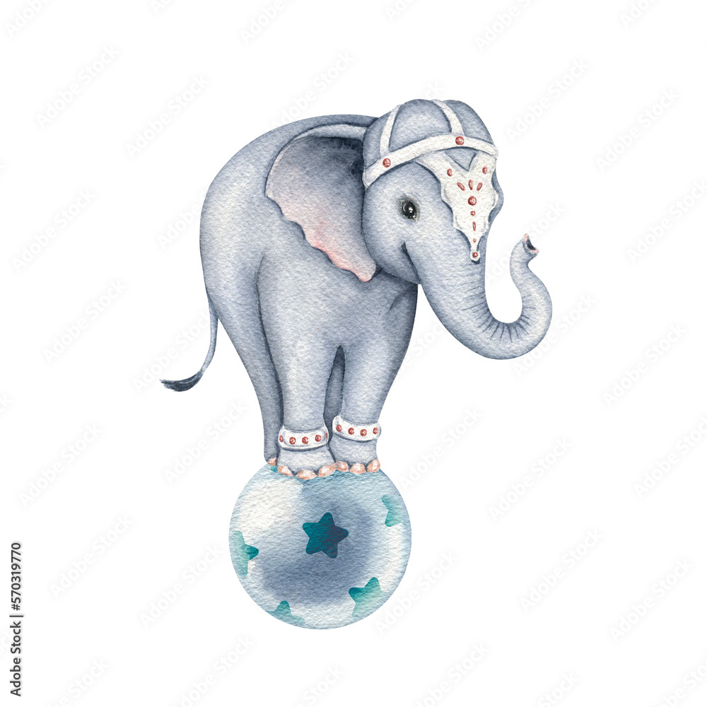 Cute circus elephant on the ball. Watercolor illustrations isolated on ...