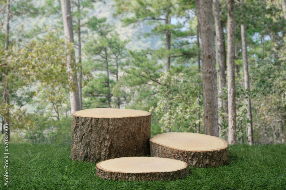 Wood podium table top on green grass nature outdoor tropical garden forest background with empty space.Organic product present natural placement pedestal promotion display,spring and summer concept. Wood podium table top on green grass nature outdoor tropical garden forest background with empty space.Organic product present natural placement pedestal promotion display,spring and summer concept.